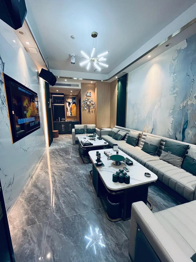 沧州商务ktv消费方式详解-吴桥县ktv预订